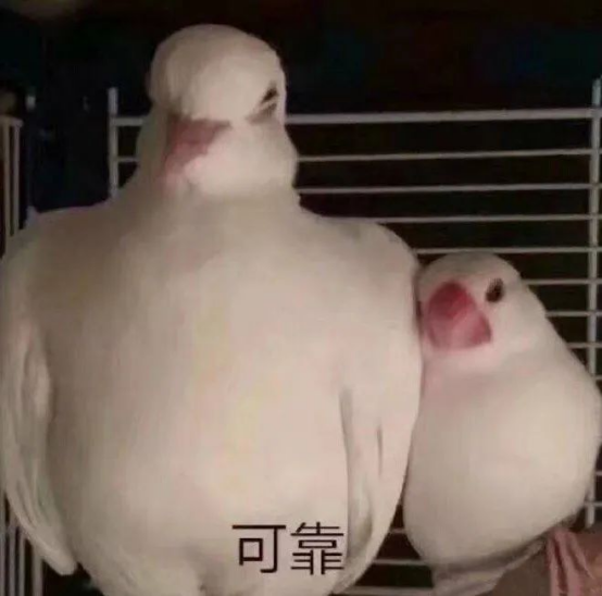 blob.png