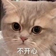 微信图片_20240810211810.png