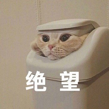 微信图片_20240816181357.png
