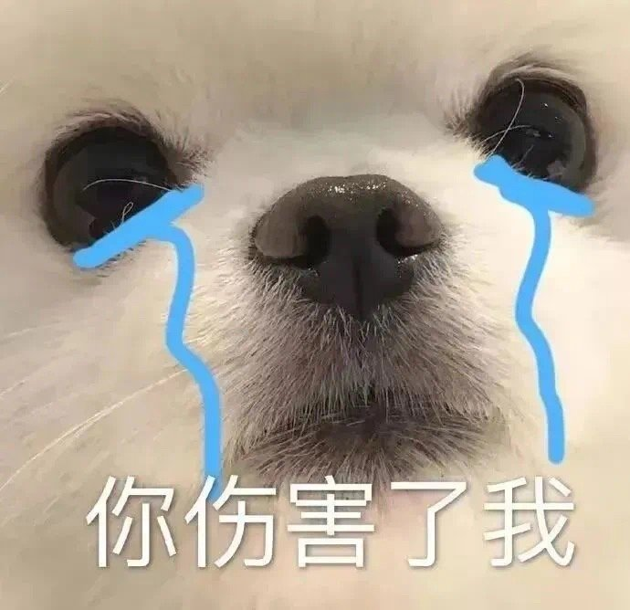 微信图片_20240818190302.png